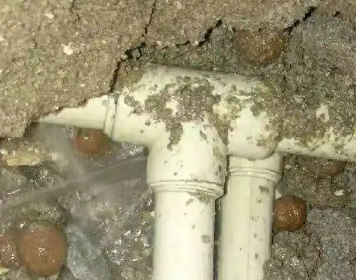 团风测漏水多少钱