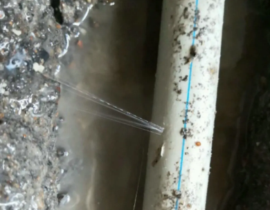 团风测漏水哪家好