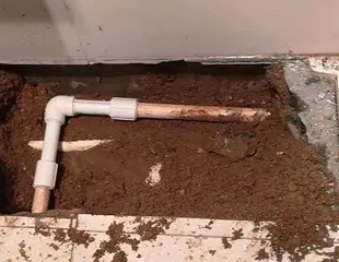 团风测漏水哪家好