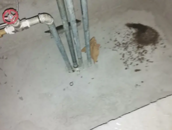 团风卫生间测漏水价格明细