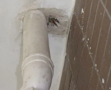 团风漏水检测哪家好